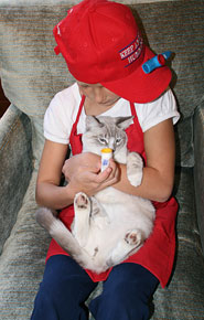 Kitty with Kazoo